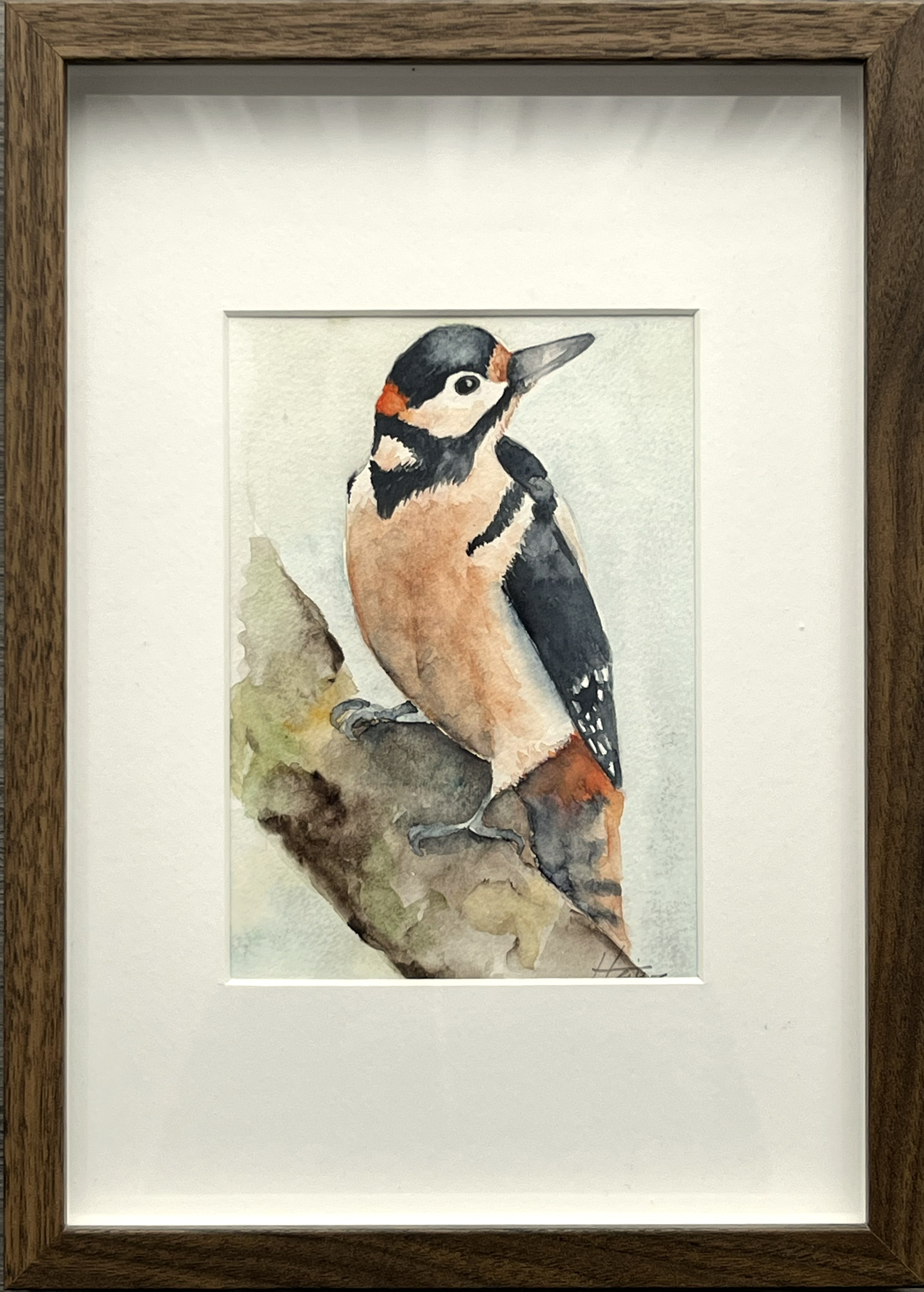 images/gemaeldegalerie/Schwarzspecht.jpg#joomlaImage://local-images/gemaeldegalerie/Schwarzspecht.jpg?width=2623&height=3666