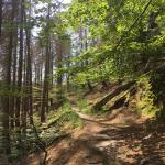 images/wanderungen/2019-08_wanderung_hickelmuehle/IMG_7615.jpg